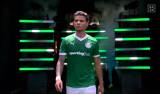Palmeiras  Botafogo