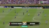 a BOTAFOGO pe Atl Madrid
