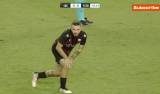 Shkendija 79 vs FCSB Football Highlights Today _ EUFA Qualification 2025